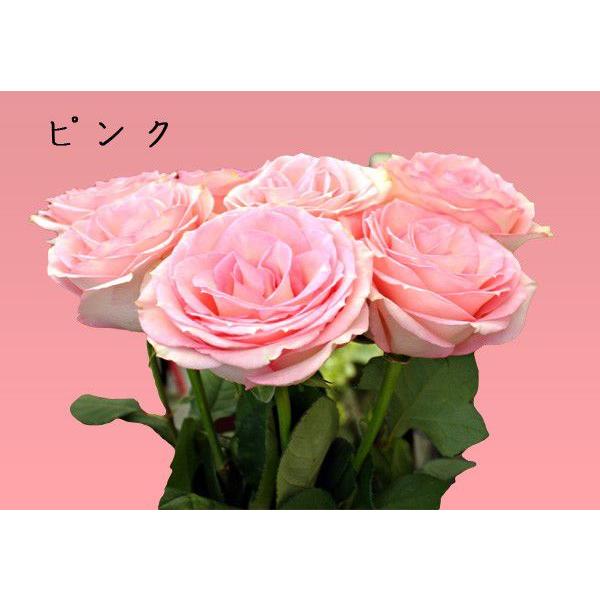 バラ 花束 大輪 1本 440円 10本からお好きな本数を花束に 薔薇 花 生花 ブーケ 誕生日 お祝い 結婚記念日 インポートローズ ギフト プレゼント |  | 04