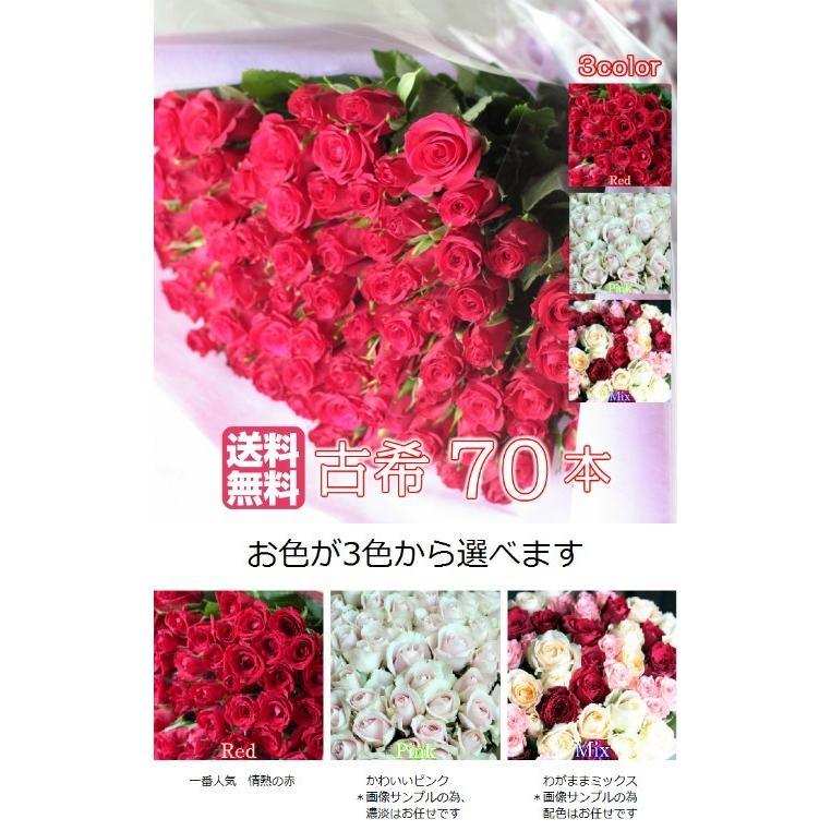 全色同価格 バラ 花束 70本 古希祝い 花 薔薇 生花 お祝い 誕生日 おすすめ 記念日 女性 男性 送料無料 ギフト プレゼント お返し Koki70 Bises Flower 通販 Yahoo ショッピング