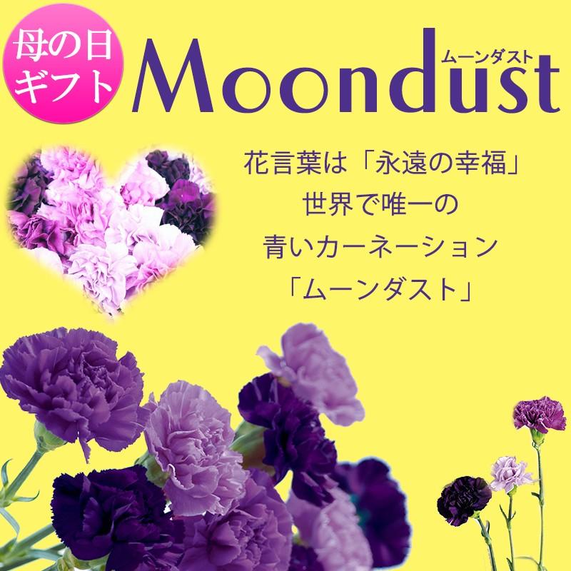 【クール便配送】【5/7~5/10着】母の日 カーネーション ムーンダスト 花束 50本 送料無料  青いカーネーション ギフト | SUNTORY | 01