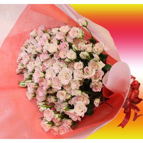バラの花束 ピンク スプレーバラ 50本 花束 ピンク バラの花束が激安 送料無料 バレンタイン ギフト プレゼント お返し Sppink 3 Bises Flower 通販 Yahoo ショッピング