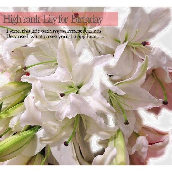 百合の花束 10本 1本3 4輪つきのゆり 百合の花束 お祝いまたはお供えから用途を選べる ギフト プレゼント お返し Yuri1 Bises Flower 通販 Yahoo ショッピング