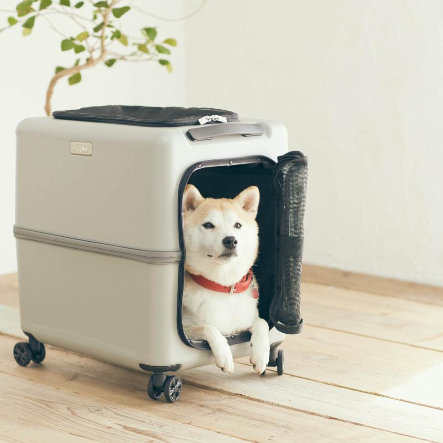 ペットキャリー ico 3001 ペットスーツケース Mサイズ PETico ペット 