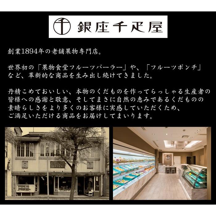 クリスマスケーキ 予約 銀座千疋屋 せんびきや 銀座タルト フルーツ 送料無料 Sk Xc 美食サークル にしき堂館 通販 Yahoo ショッピング