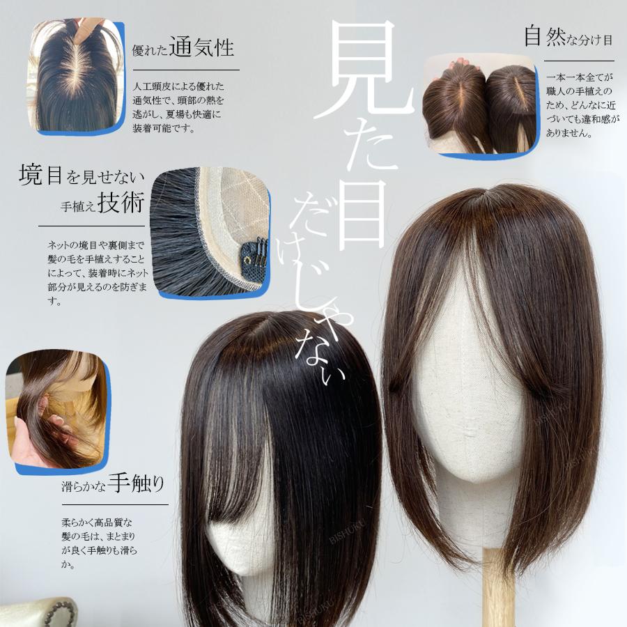 部分ウィッグ 自然 ワイド 人毛100% 日本仕上げ ウィッグ 高品質 25cm 