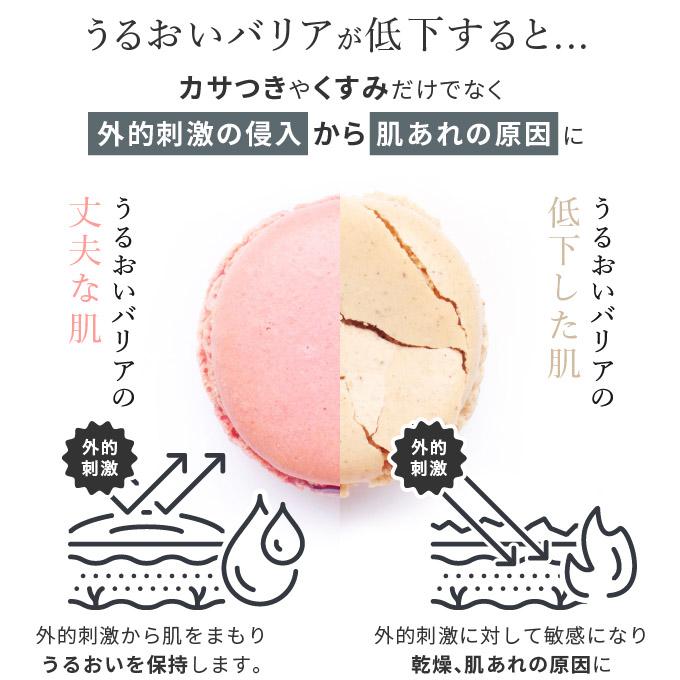 コスメドン公式 ガラクトミセス培養液 96.7％ ミスト化粧水 80mL 日本製 発酵化粧水 ガラクトミスト アミノ酸 MNF ガラクトミセス 国産 ローション |  | 06