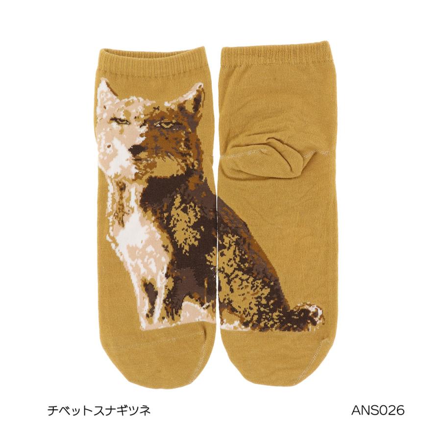 アニマル チベットスナギツネ スニーカー丈ソックス 23-25cm