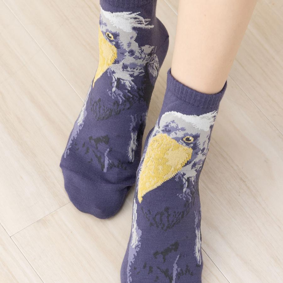 アニマル ハシビロコウ スニーカー丈 23-25cm レディース 靴下 動物