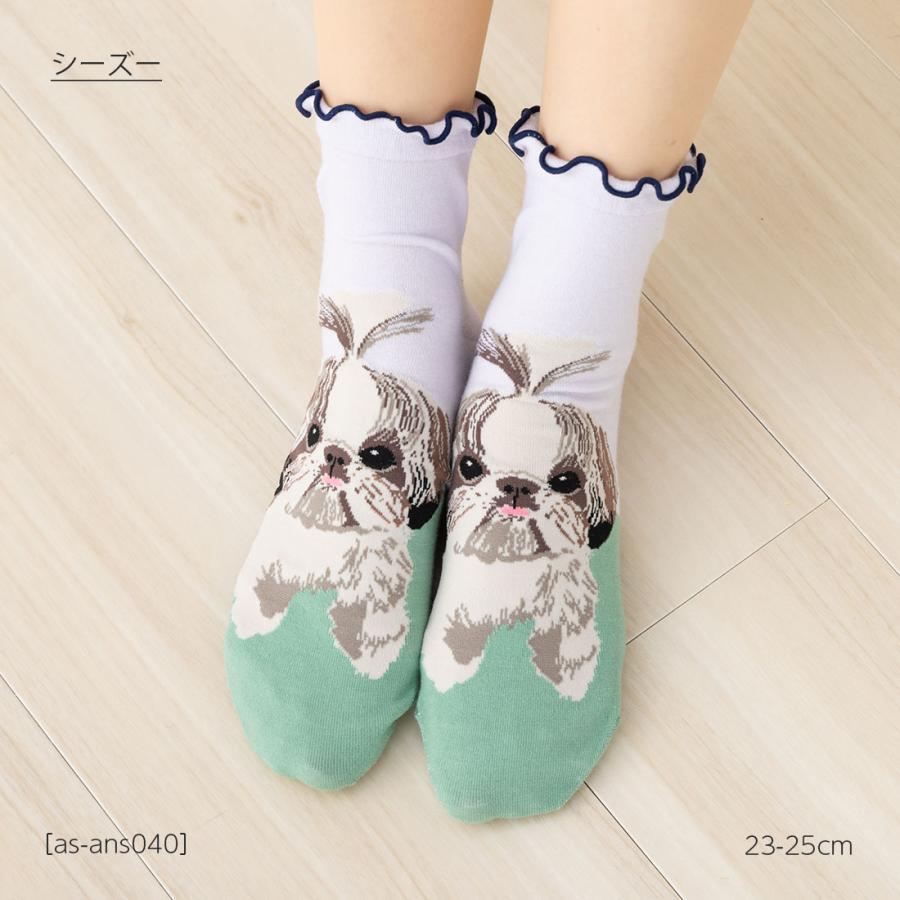 シーズー 犬柄 ロークルー丈ソックス 23-25cm レディース 靴下 動物 as