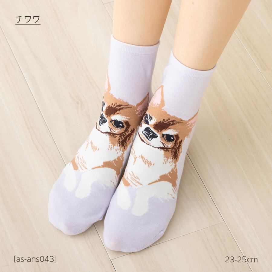 チワワ 犬柄 ロークルー丈ソックス 23-25cm レディース 靴下 動物 as