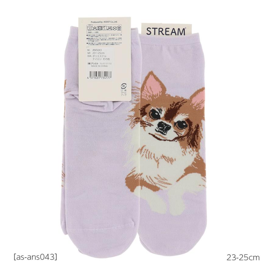チワワ 犬柄 ロークルー丈ソックス 23-25cm レディース 靴下 動物 as