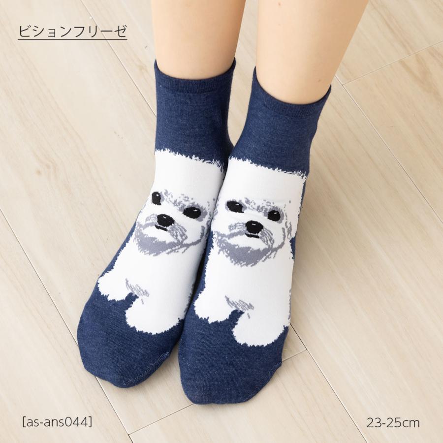 ビションフリーゼ 犬柄 ロークルー丈ソックス 23-25cm レディース 靴下