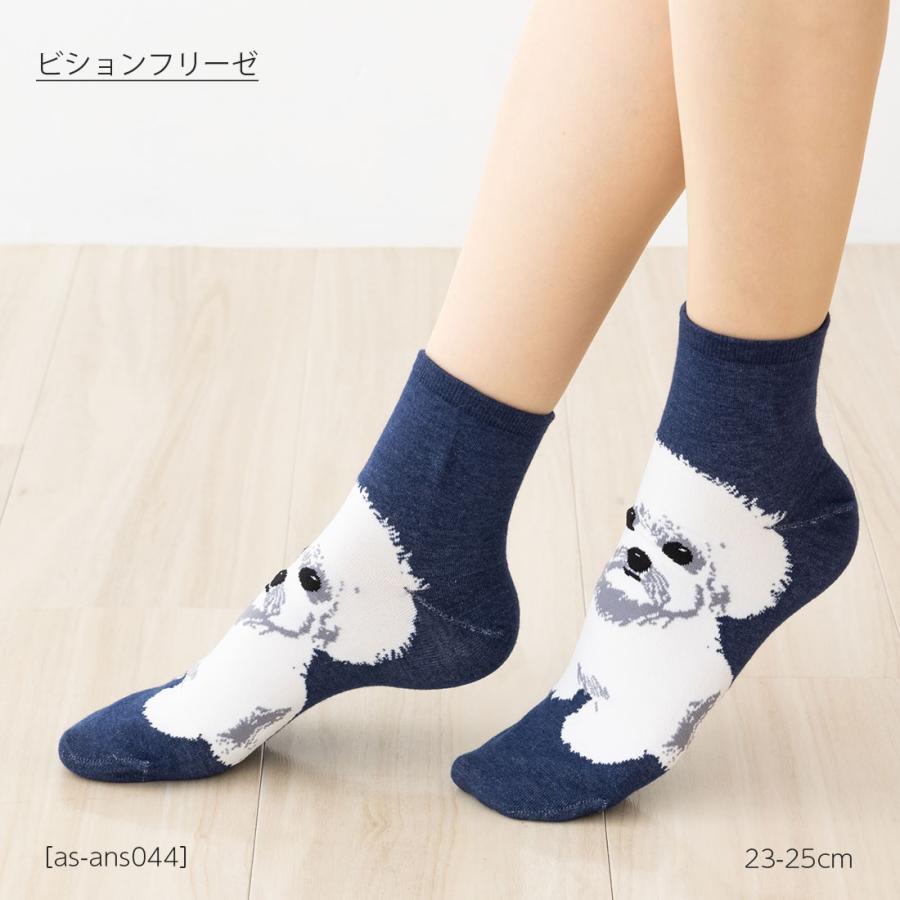 ビションフリーゼ 犬柄 ロークルー丈ソックス 23-25cm レディース 靴下
