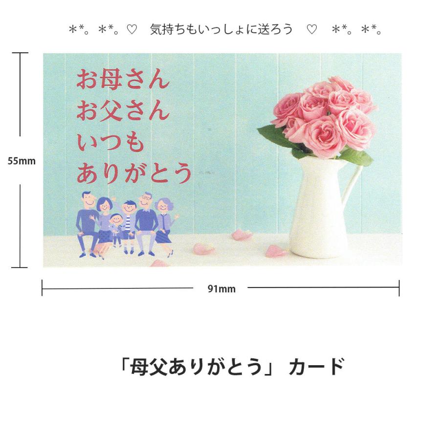 選べるメッセージカード (感謝カード) 名刺サイズ 感謝 お誕生日 D1PK
