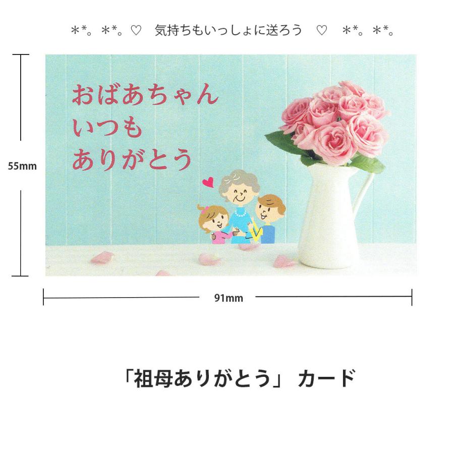 選べるメッセージカード (感謝カード) 名刺サイズ 感謝 お誕生日 D1PK