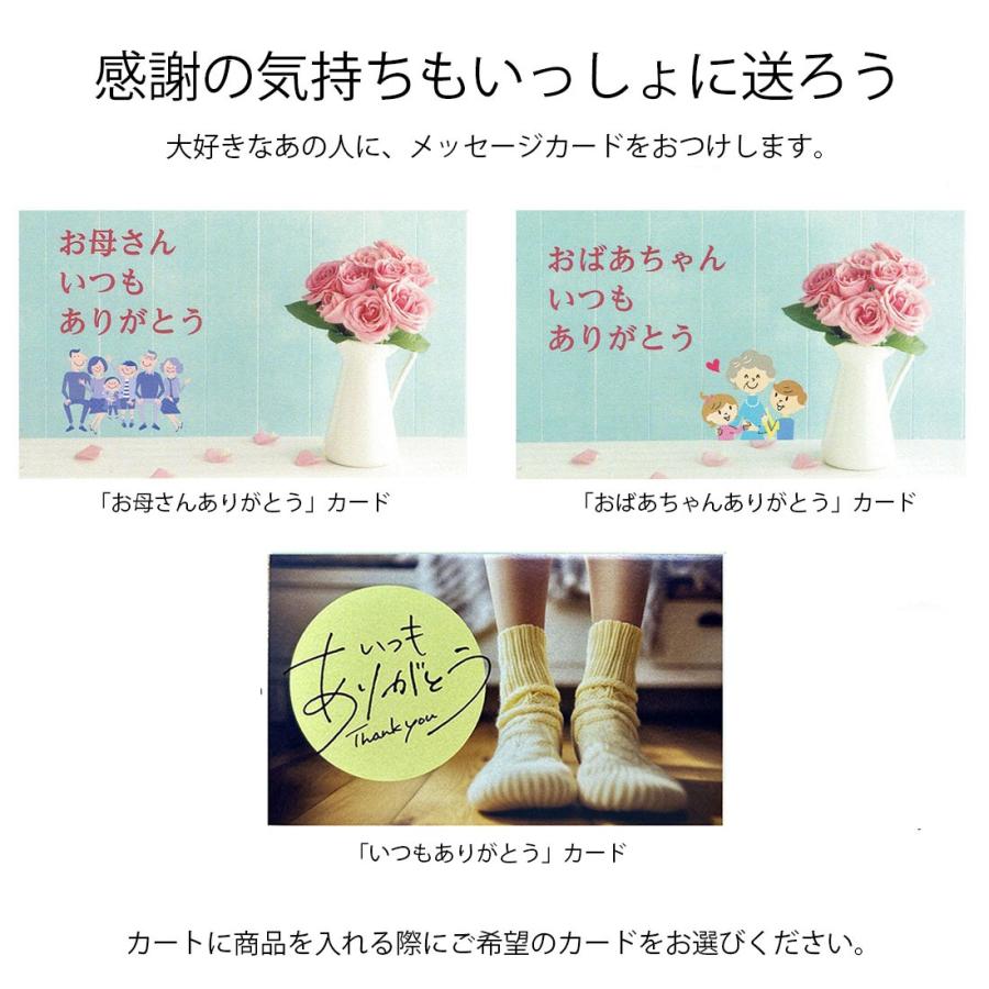 サーナイト【人気】①靴下サプリ　まるでこたつソックス　６足セット サーナイト【人気】①靴下サプリ まるでこたつソックス 6足