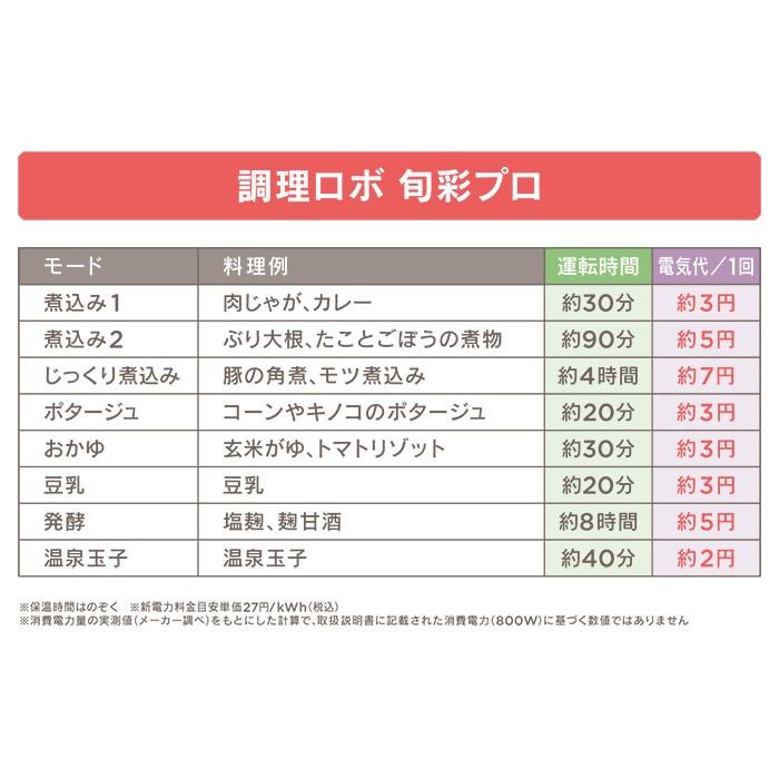 YAMAMOTO クックマスター 旬彩 プロ COOK MASTER SHUNSAI 万能調理器