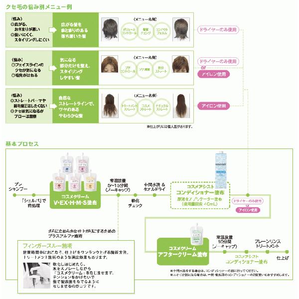 コスメクリーム アリミノ EX パーマ 1剤 400g 業務用 : 美想心花