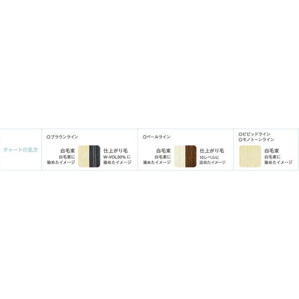 カラーストーリー アリミノ オアシック ビビッドライン 150g ヘア
