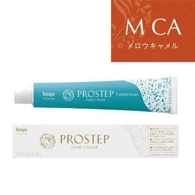 【新品未使用】hoyu PROSTEP HAIR COLOR 44本セット PROSTEP ホーユー プロステップ ルミシャス ファッションカラー メロウ