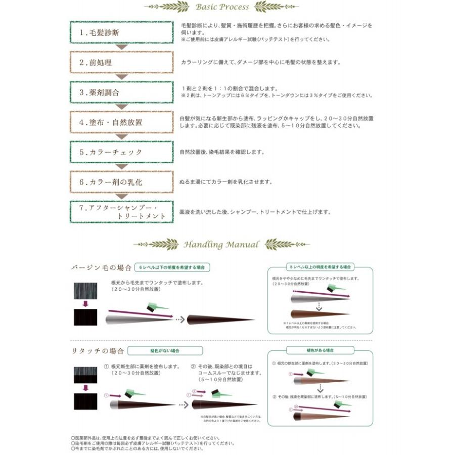 サンコール R 21 カラーソムリエ Ha Na クールブラウン Cb 80g ヘア