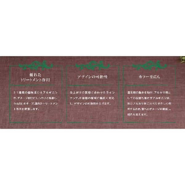 SUNCALL（サンコール） R-21 ストレート 過水 タイプ 共通2剤 400ml