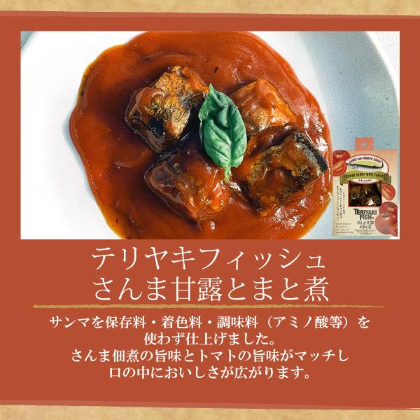 【クロネコゆうパケット送料無料／同梱不可】平松食品 テリヤキ・フィッシュ 選べる4個セット｜三河つくだ煮（甘露煮） 酒の肴 惣菜 おためし｜bisyoku｜04