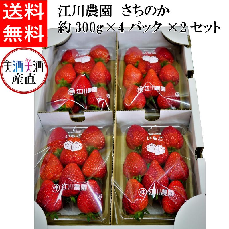 日本酒 江川農園さちのか 2lサイズ 約300g 4パック 2セットギフト贈答用おすすめ わん酒 Yahoo 店 通販 Yahoo ショッピング