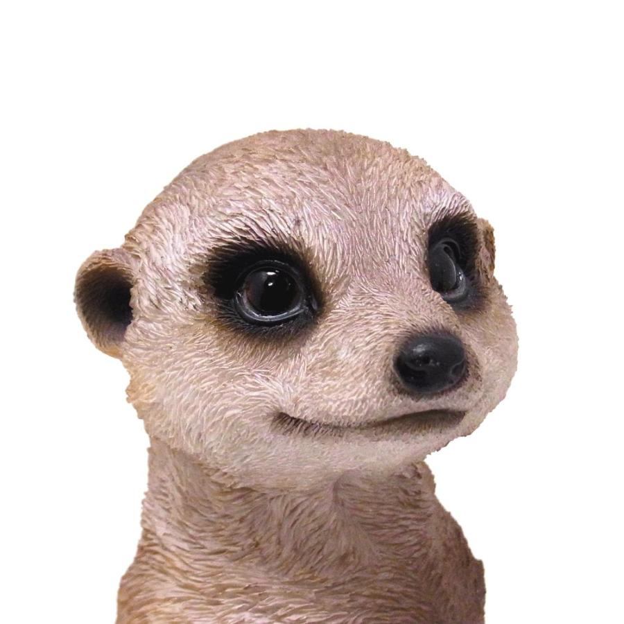 貯金箱 ペットバンク ミーアキャット Pet Bank Meerkat Bmg Petbank Meerkat Bit 通販 Yahoo ショッピング