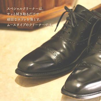 トーエー　シューケア　スペシャルクリーナー　220g |  | 01