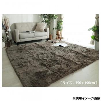 マイクロファイバーロングシャギーラグ 190×190cm グレージュ「GSCD508383」 |  | 01