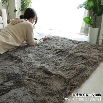 マイクロファイバーロングシャギーラグ 190×190cm グレージュ「GSCD508383」 |  | 02