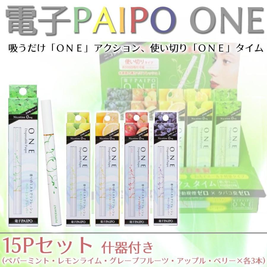 マルマン 電子PAIPO 使い捨てパイポ ONE 15Pセット(5種×各3本) 什器付き | 