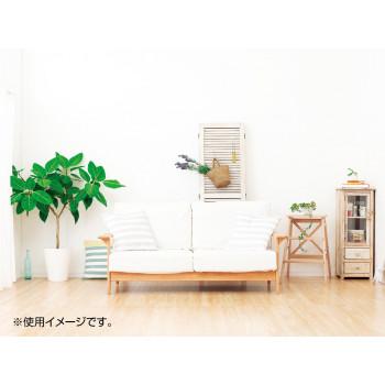 がんばります 家具転倒防止板 H-538 |  | 01