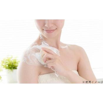 ALTY 美容洗顔ブラシ フェイス＆デコルテブラシ Face ＆ Decollete Brush 日本製 292702 |  | 03