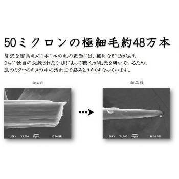 ALTY 美容洗顔ブラシ フェイス＆デコルテブラシ Face ＆ Decollete Brush 日本製 292702 |  | 04