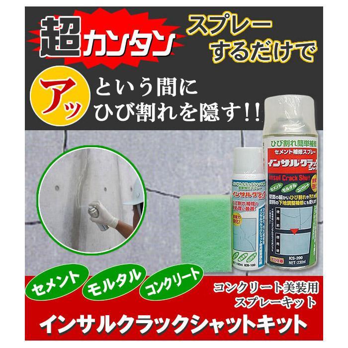 インサル クラックシャットキット |  | 01