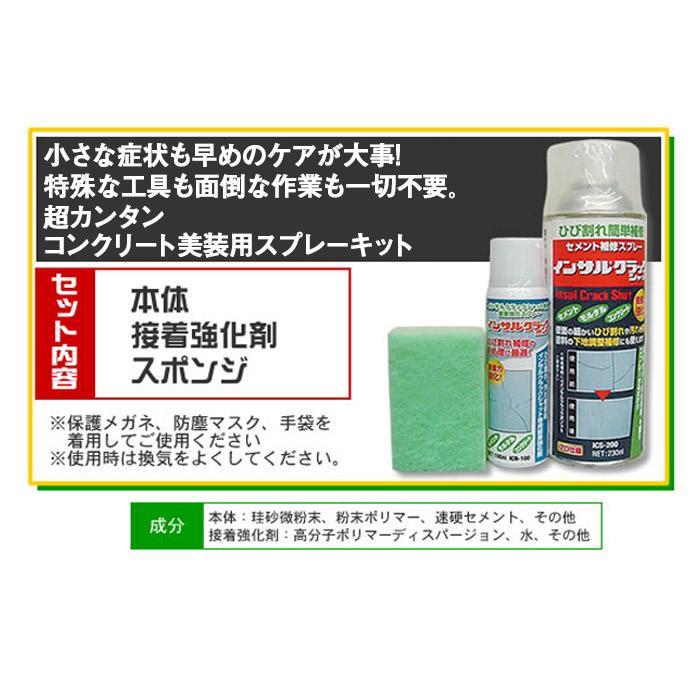 インサル クラックシャットキット |  | 06