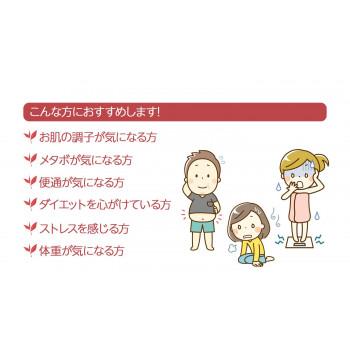 フジワラ化学　カメリアティー　箱入　3g×30包 |  | 05