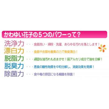 酸素系多目的洗剤　花子　3.5kgお徳用 |  | 02