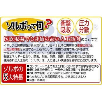 ソルボバランスウォーク・オープントゥガード　ブロンズ |  | 03