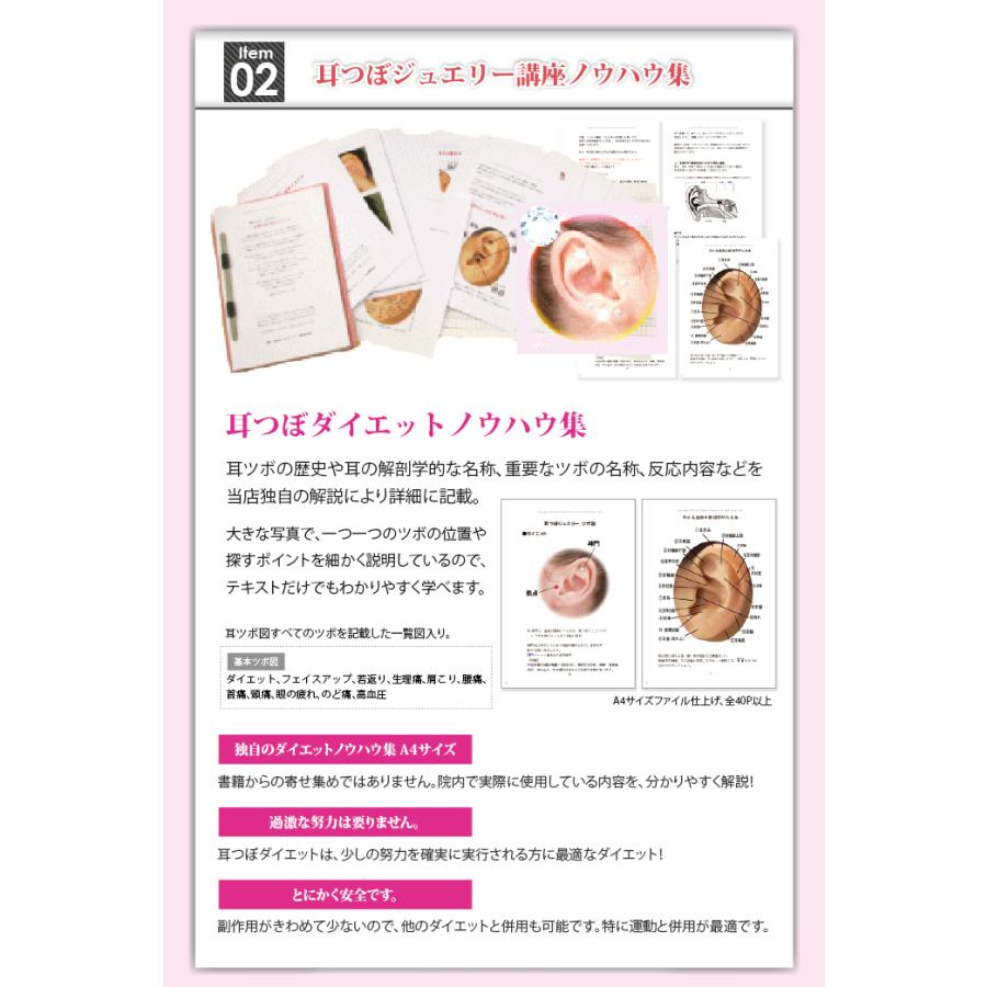 ネットワーク全体の最低価格に挑戦 耳つぼ療法講座テキスト DVD 模型