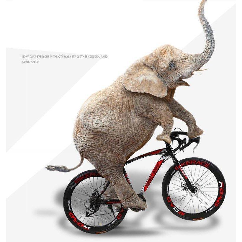 新入荷!!【日本未発売】 2021年モデル ロードバイク 27スピード実用自転車 軽量 前後ディスクブレーキ 通勤通学 26インチ 【NAN6431158829】(22511円)