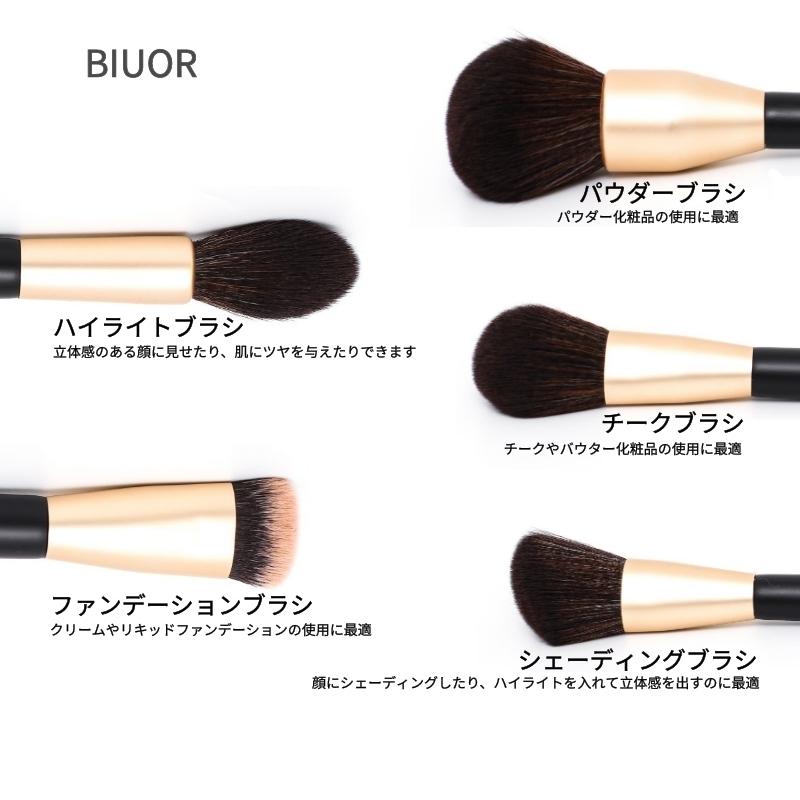 BIUOR 天然毛 豪華12本メイクブラシセット アイシャドウブラシ BIUOR 天然毛 豪華12本メイクブラシセット アイシャドウブラシ