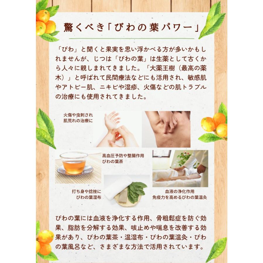 初回限定20％OFF！】アトピー敏感肌【Bi オールインワンジェル 100ml