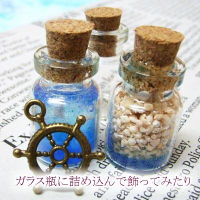 星の砂 4gプラケース /ハーバリウム レジン 天然 夏 海 水紋
