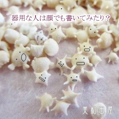星の砂 4gプラケース /ハーバリウム レジン 天然 夏 海 水紋