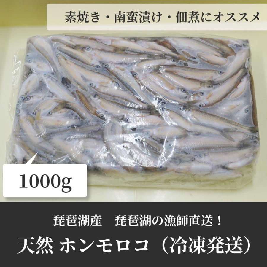 天然 ホンモロコ 1000g 冷凍 調理用 琵琶湖産 滋賀県産 魚友商店 送料無料 びわ湖の天然宝石『東近江市産ホンモロコ』紹介動画