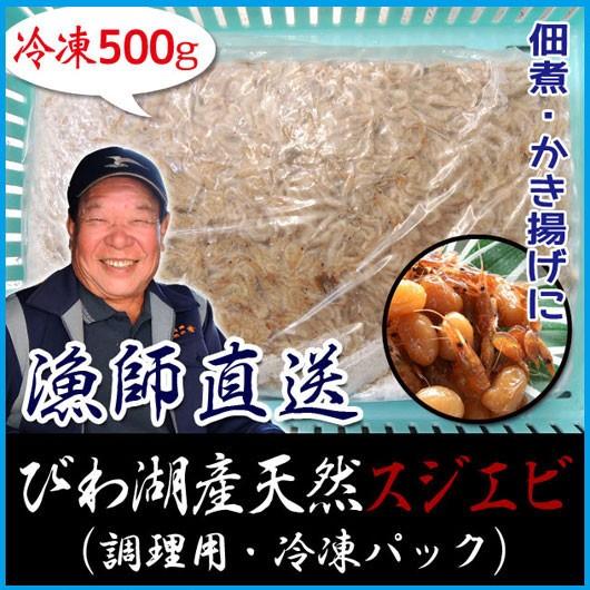 天然 スジエビ 500g 冷凍 調理用 川えび シラサエビ 琵琶湖産 滋賀県産 魚友商店 送料無料 Uo C Sujiebi500 琵琶近江商店 通販 Yahoo ショッピング