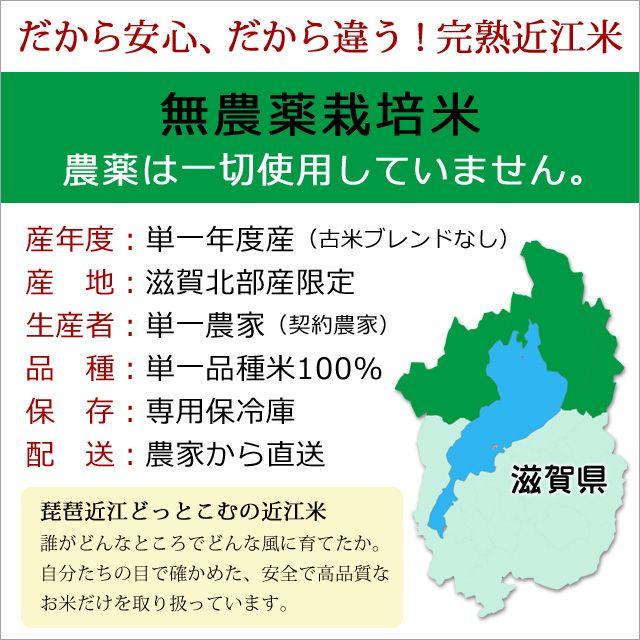 米 お米 5kg 長寿米 コシヒカリ 無農薬 令和5年産 2023年産 吉田農園 滋賀県産 白米 玄米 送料無料｜biwaoumi｜02