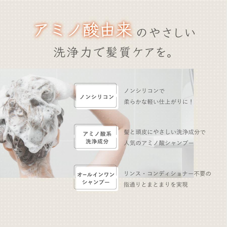 ケルビム シャンプー 500ml 無添加 天然由来 ノンシリコン 12本セット